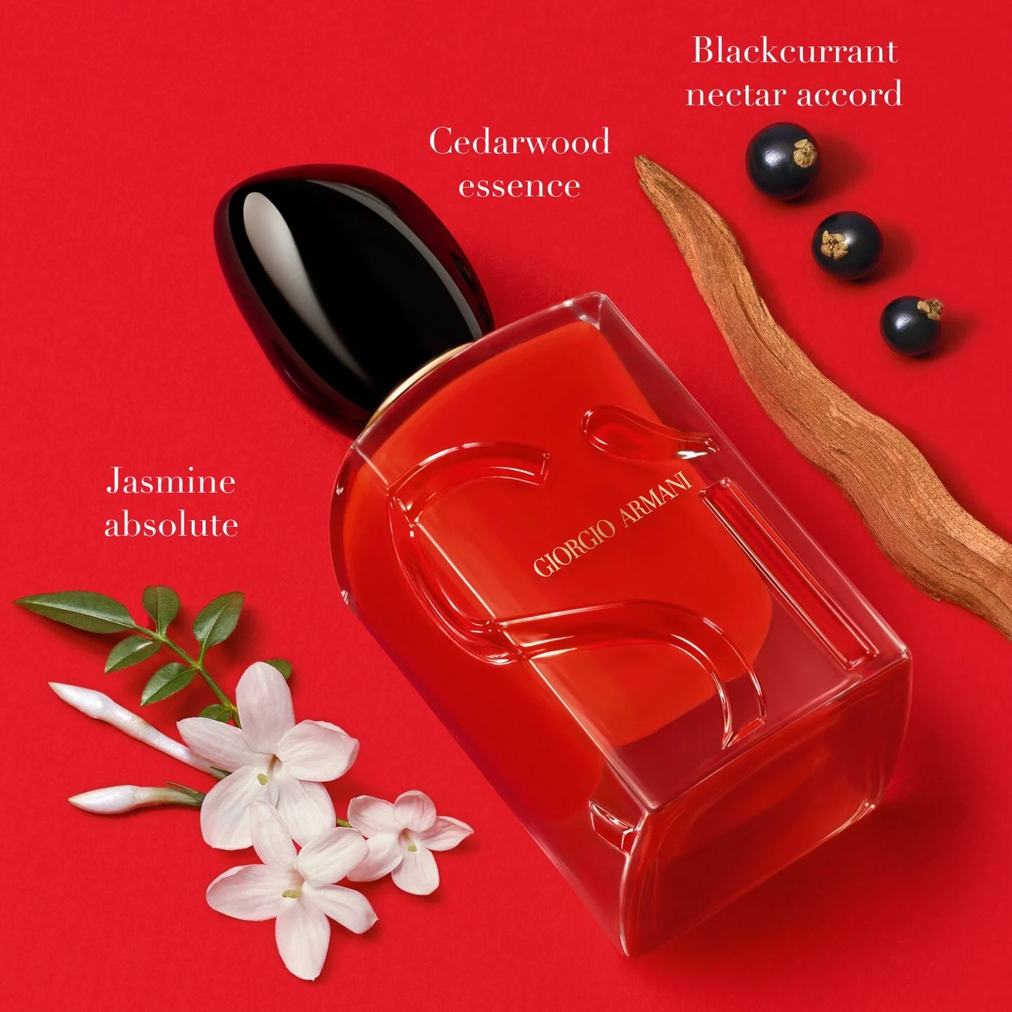 Giorgio Armani 
SÌ PASSIONE EAU DE PARFUM