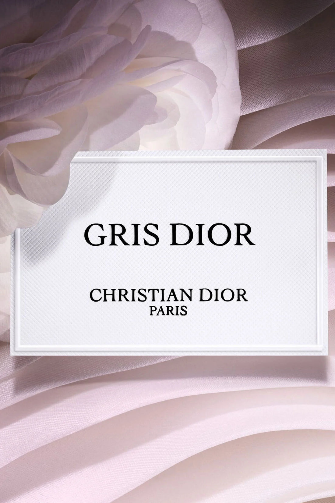 Christian  
Dior Gris Dior 🩷✔️