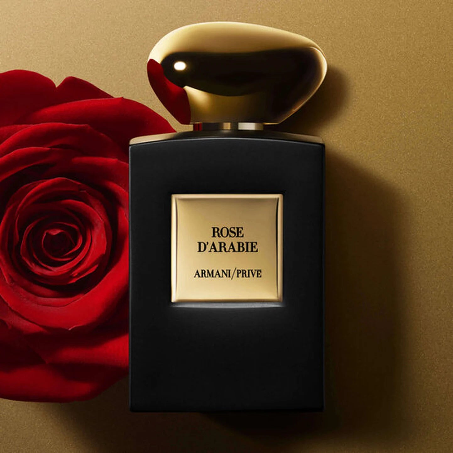 ARMANI/PRIVÉ
Mini ROSE D'ARABIE 🖤✔️