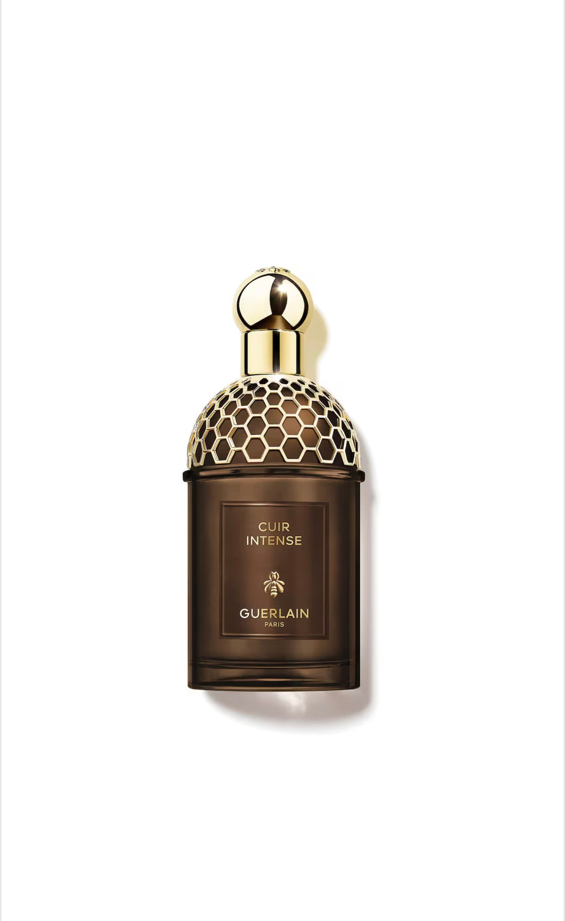 Guerlain      
Cuir Intense    
Mini Eau de Parfum - Absolus Allegoria      
🤎🤎
