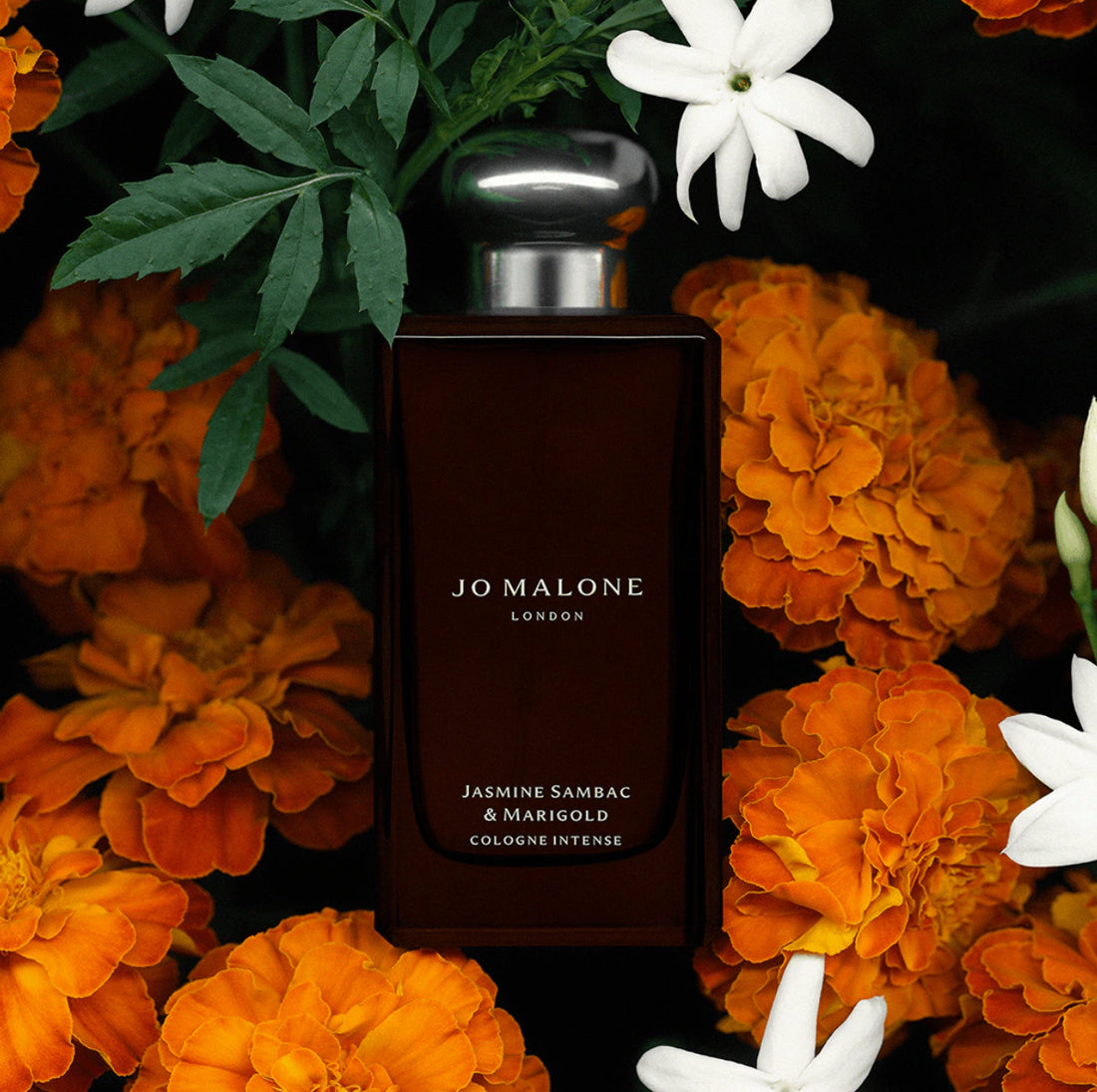 Jo Malone
Jasmine Sambac & Marigold Cologne Intense     
🌸🌸