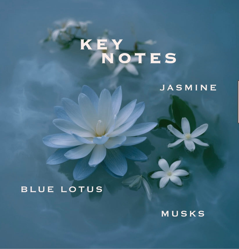 Orabella      
JASMINE BLUES 🤍
