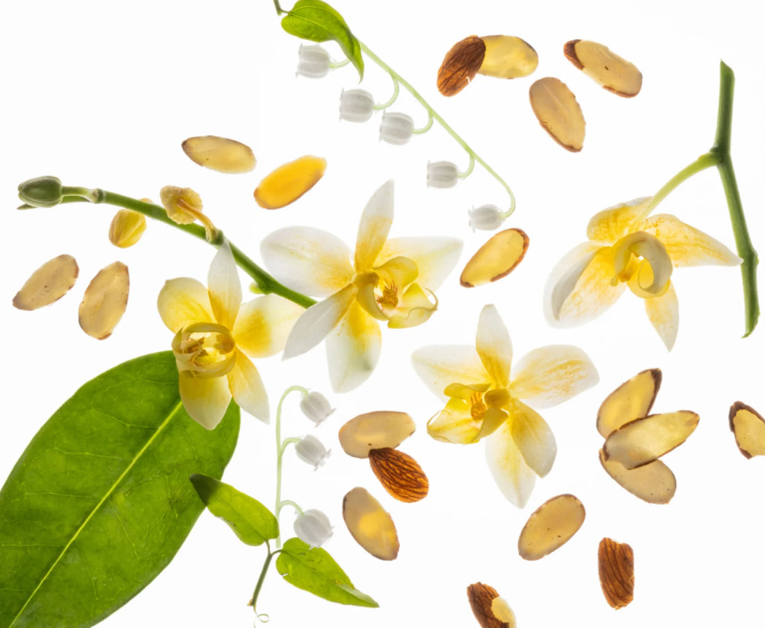 Touch Land Hair & Body mist