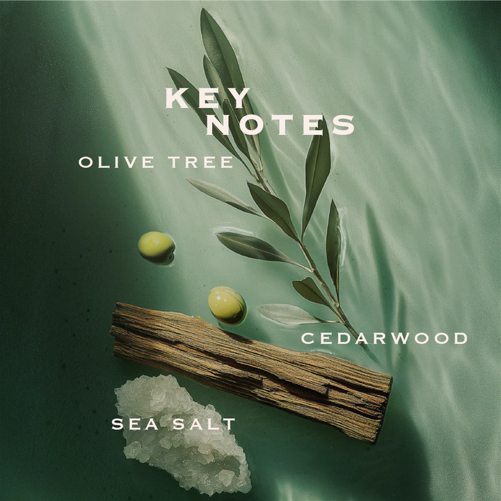 Orabella (SALTED MUSE)