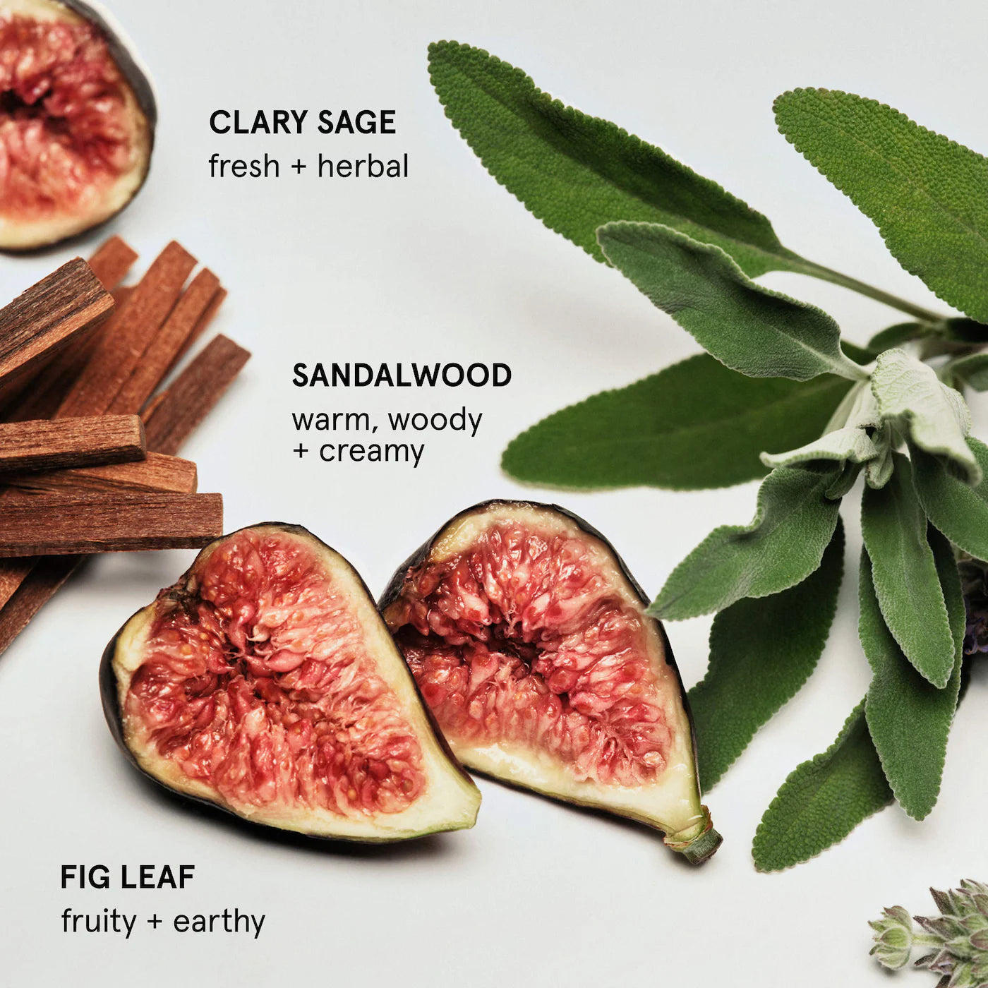 Glossier (Hand Cream)