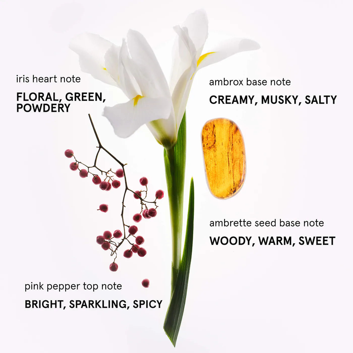 Glossier (Hand Cream)